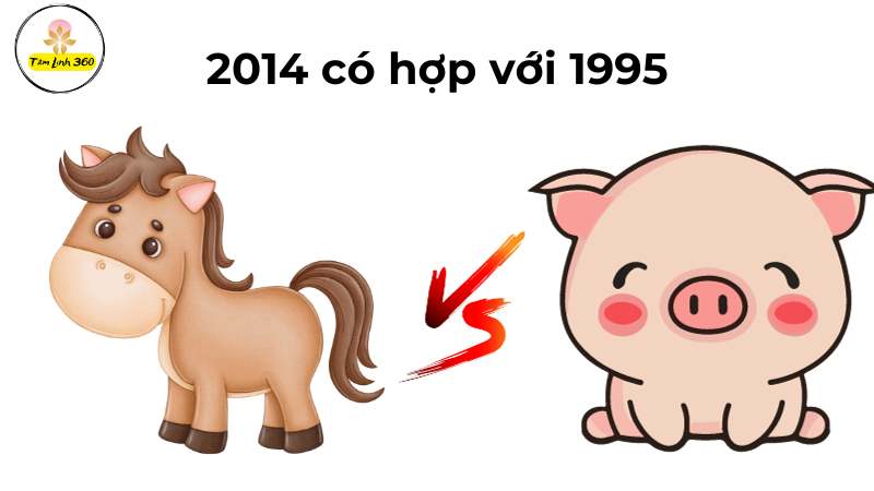 2014 có hop voi hoi 1995