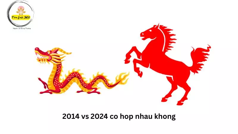 2014 vs 2024 co hop nhau khong