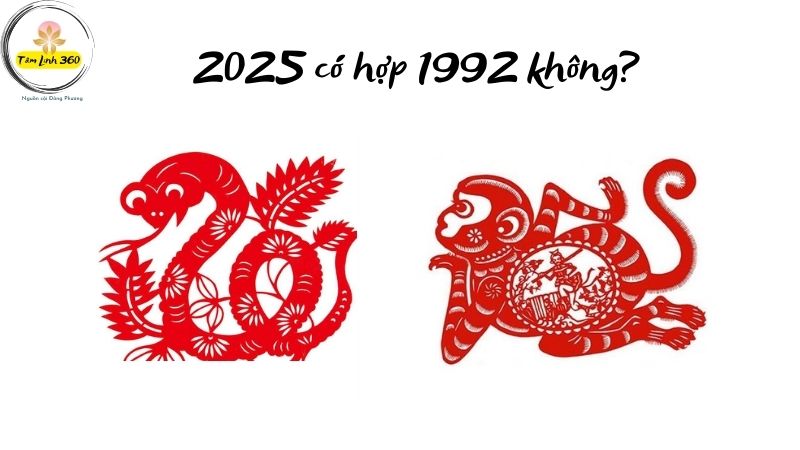 2025 co hop 1992 khong