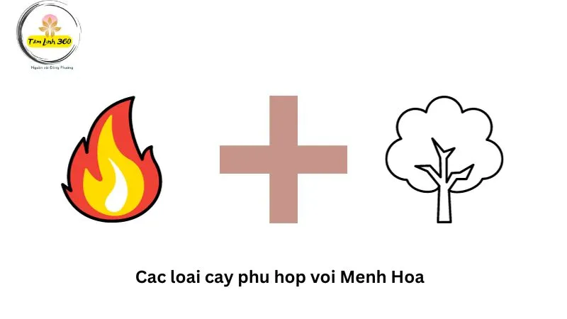 Cac loai cay phu hop voi Menh Hoa
