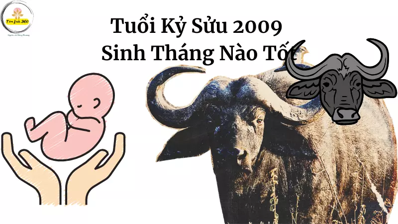 Ky Suu 2009 Sinh Thang Nao Tot