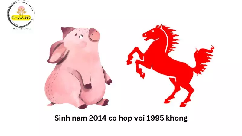 Sinh nam 2014 co hop voi 1995 khong
