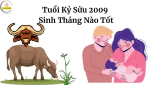 Tuoi Ky Suu 2009 Sinh Thang Nao Tot