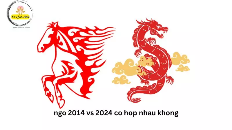 ngo 2014 vs 2024 co hop nhau khong