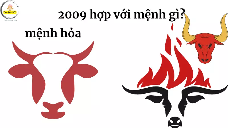 sinh 2009 hop voi menh gi