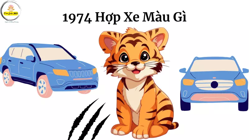 sinh nam 1974 Hop Xe Mau Gi