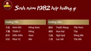 sinh nam 1982 hop huong gi