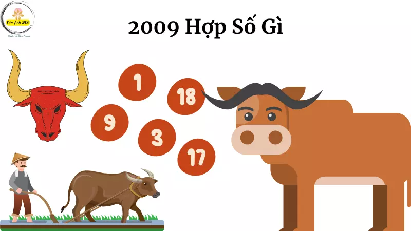 sinh nam 2009 Hop So Gi