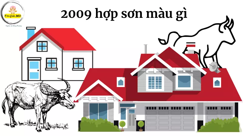 sinh nam 2009 hop son mau gi