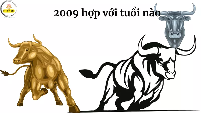 sinh nam 2009 hop voi tuoi nao