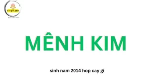 sinh nam 2014 hop cay gi