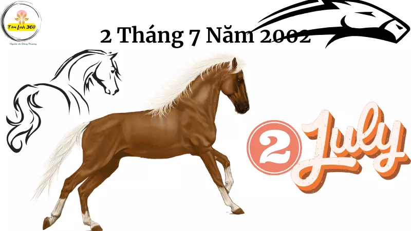 sinh Ngay 2 Thang 7 Nam 2002