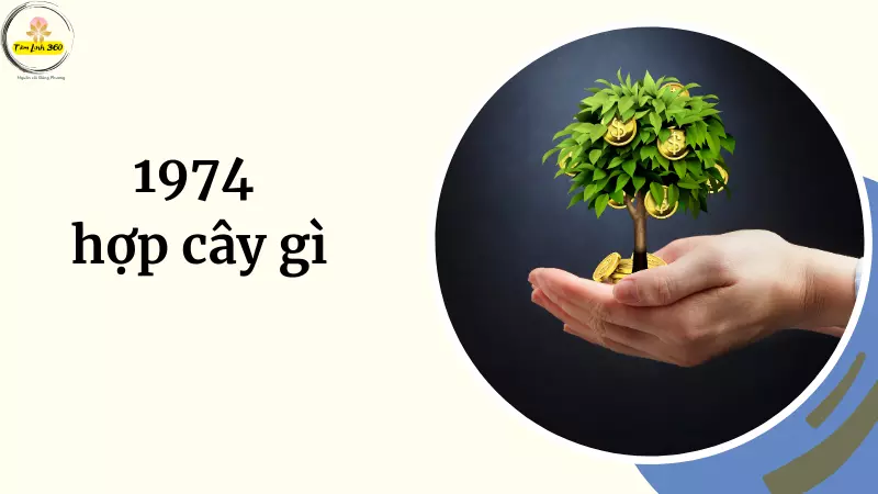 1974 hợp cây gì? Mối liên hệ giữa phong thủy và thực vật