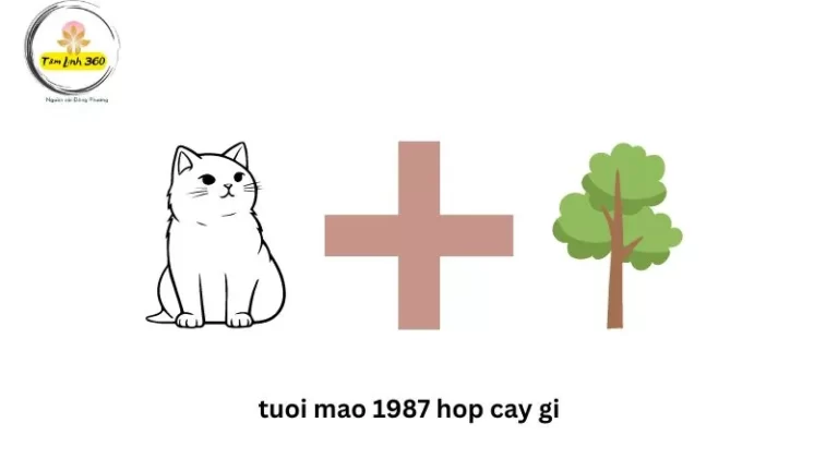 tuoi mao 1987 hop cay gi