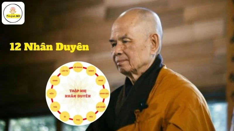 12 Nhân Duyên: Giải Mã Vòng Lặp Khổ Đau & Tìm Lối Thoát