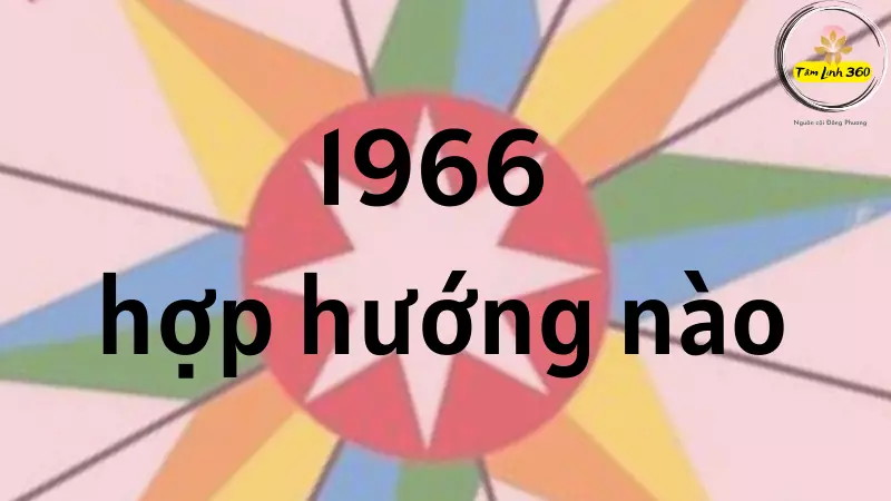 1966 hop huong nao thi tot