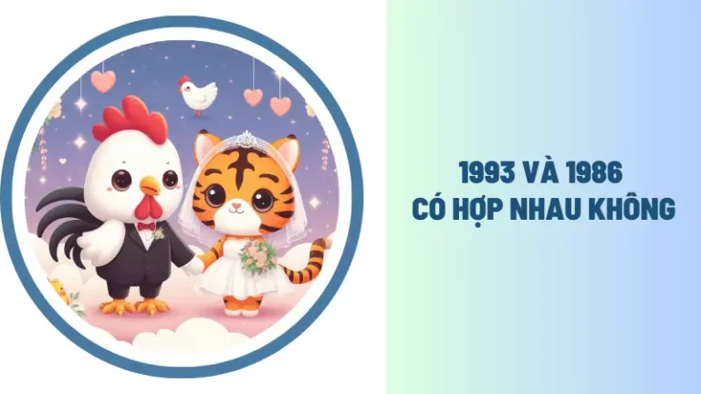 Nam 1993 và nữ 1986 có hợp nhau không?