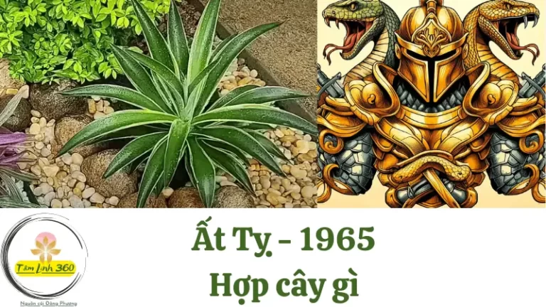 At ty 1965 Hop cay gi