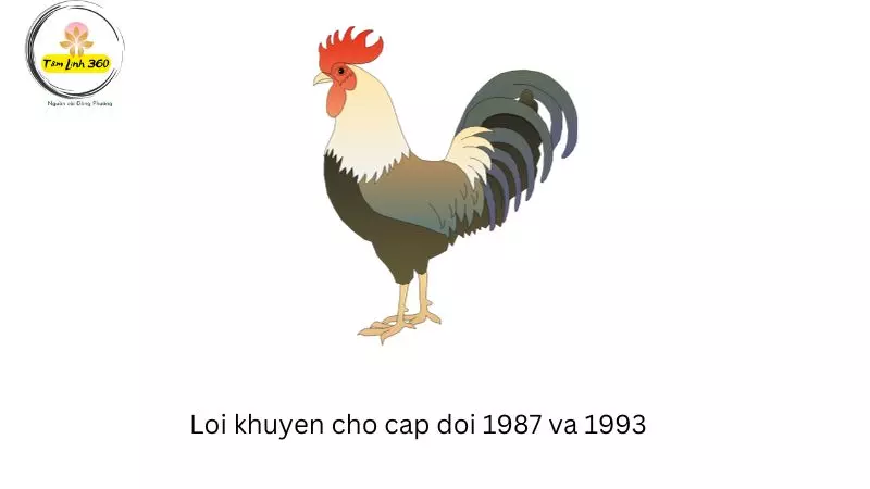 Loi khuyen cho cap doi 1987 va 1993