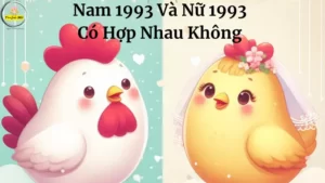 Nam 1993 Va Nu 1993 Co Hop Nhau Khong