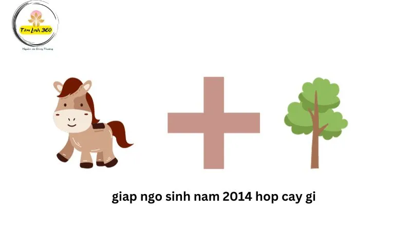 giap ngo sinh nam 2014 hop cay gi