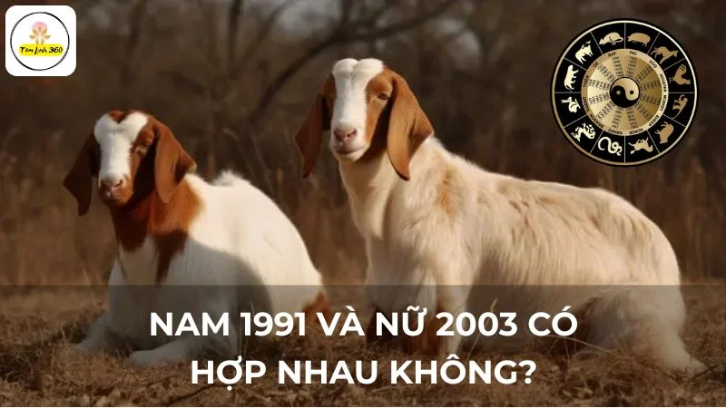 Tổng kết nam 1991 và nữ 2003 có hợp nhau không?