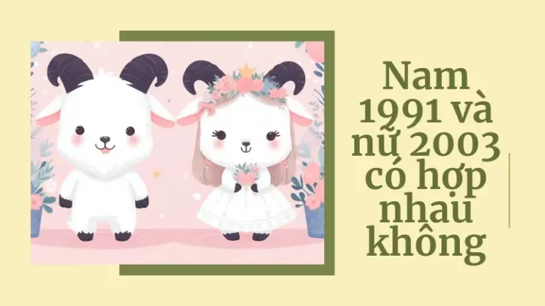 Nam 1991 Và Nữ 2003 Có Hợp Nhau Không?