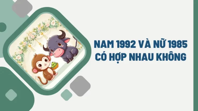 Nam 1992 Và Nữ 1985 Có Hợp Nhau Không? Luận giải chi tiết