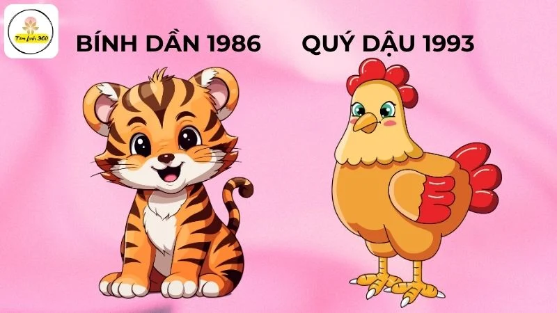 Nam 1993 nữ 1986 có hợp nhau không?