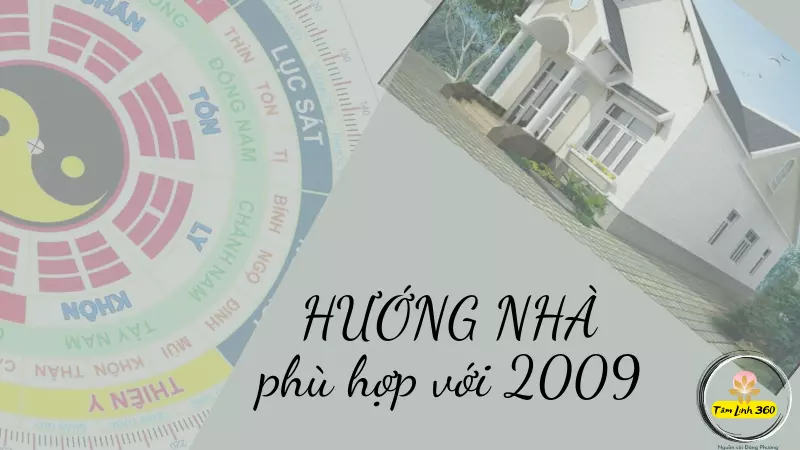 nam 2009 hop huong nao