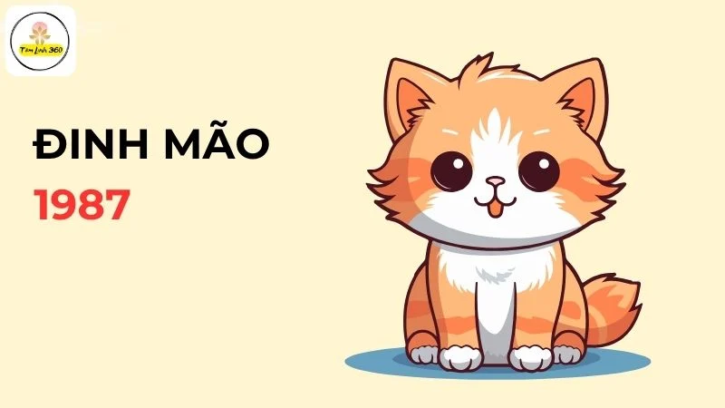 Nam Đinh Mão 1987