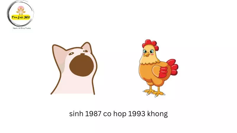 sinh 1987 co hop 1993 khong