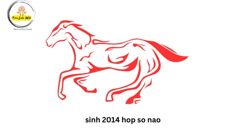 Sinh 2013 hop so nao