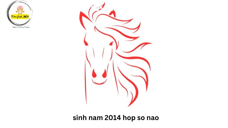 sinh nam 2014 hop so nao