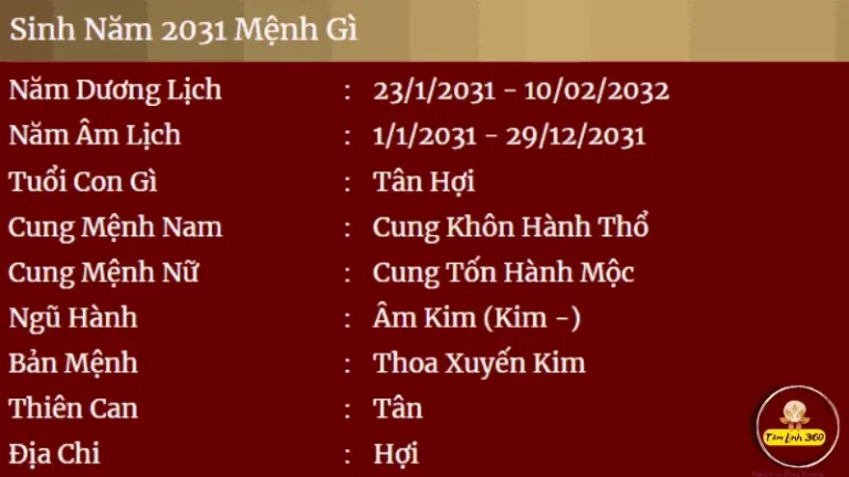 sinh nam 2031 menh gi