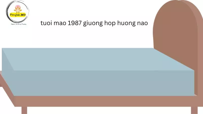 tuoi mao 1987 giuong hop huong nao