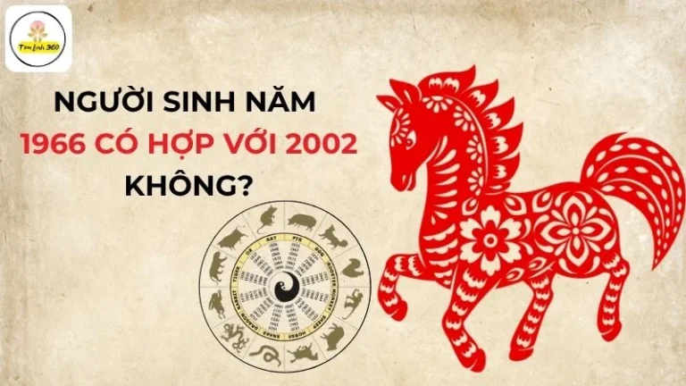 Người sinh năm 1966 có hợp với 2002 không?