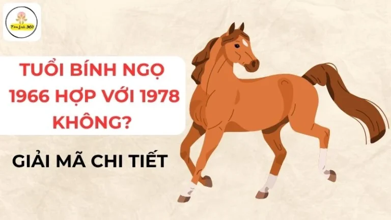 Tuổi Bính Ngọ 1966 hợp với 1978 không? Giải mã chi tiết