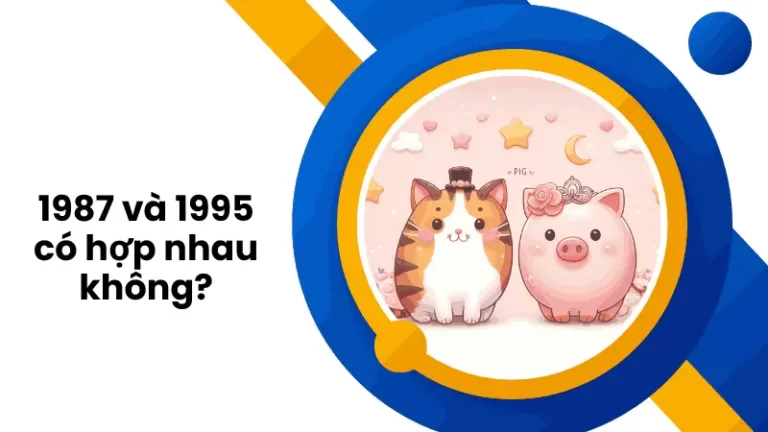 1987 va 1995 co hop nhau khong