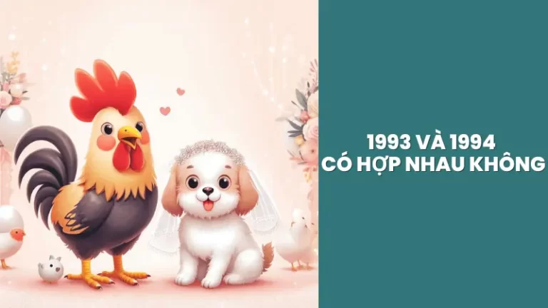 1993 va 1994 co hop nhau khong