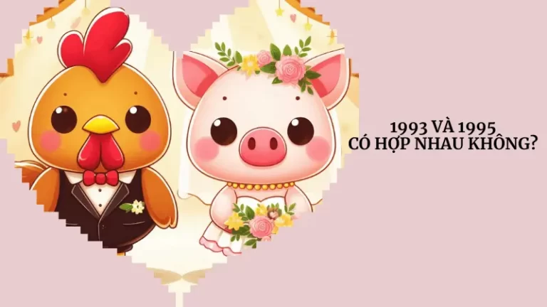 1993 va 1995 co hop nhau khong