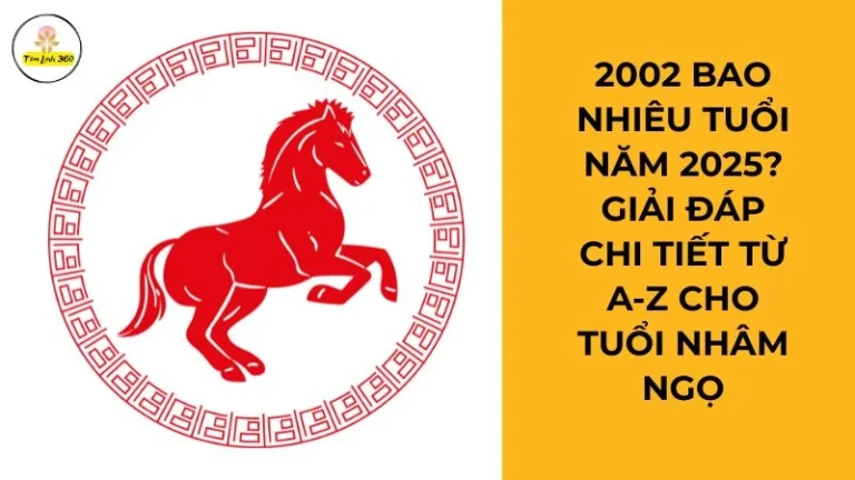 2002 bao nhiêu tuổi năm 2025? Giải đáp chi tiết