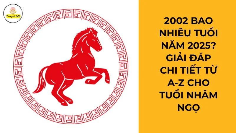 2002 bao nhiêu tuổi năm 2025? Giải đáp chi tiết