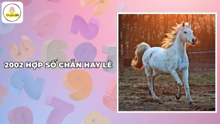 Tuổi 2002 hợp số chẵn hay lẻ