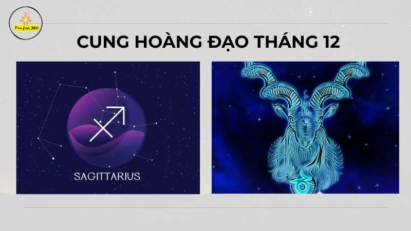 Sinh Tháng 12 Cung Gì?