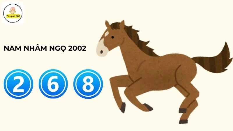 Nam Nhâm Ngọ 2002 hợp số nào