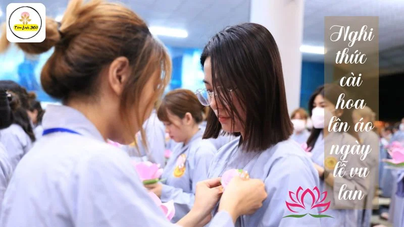 nghi thuc cai hoa len ao ngay le vu lan Nghi Thức Cài Hoa Lên Áo Trong Ngày Lễ Vu Lan
