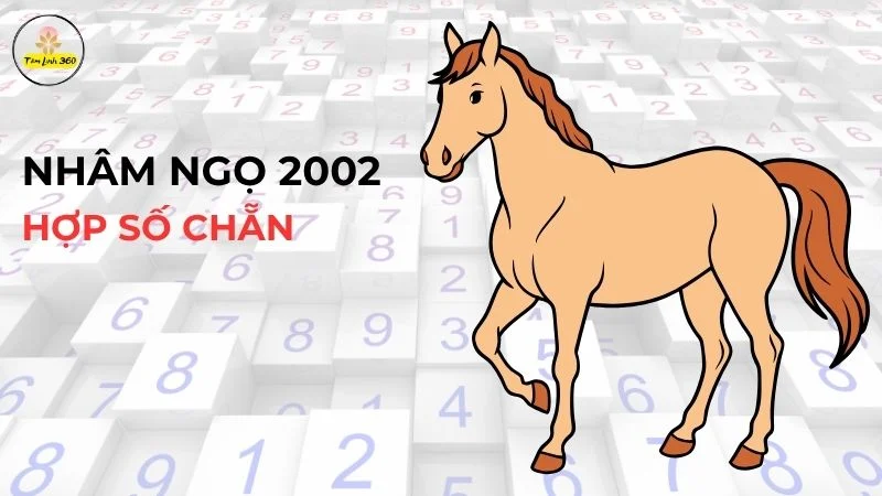 Nhâm Ngọ 2002 hợp số chẵn