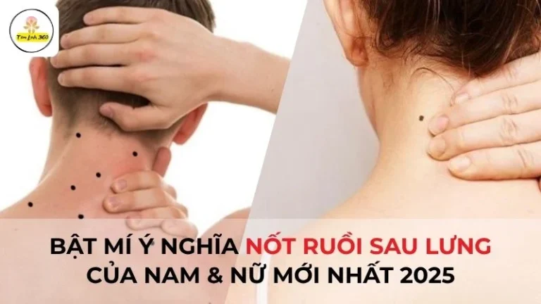 Bật Mí Ý Nghĩa Nốt ruồi Sau Lưng Của Nam & Nữ Mới Nhất 2025