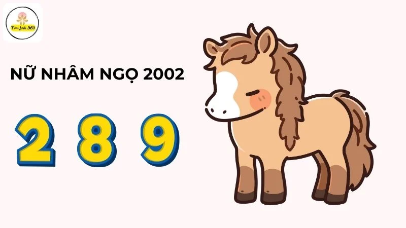 Nữ Nhâm Ngọ 2002 hợp số nào